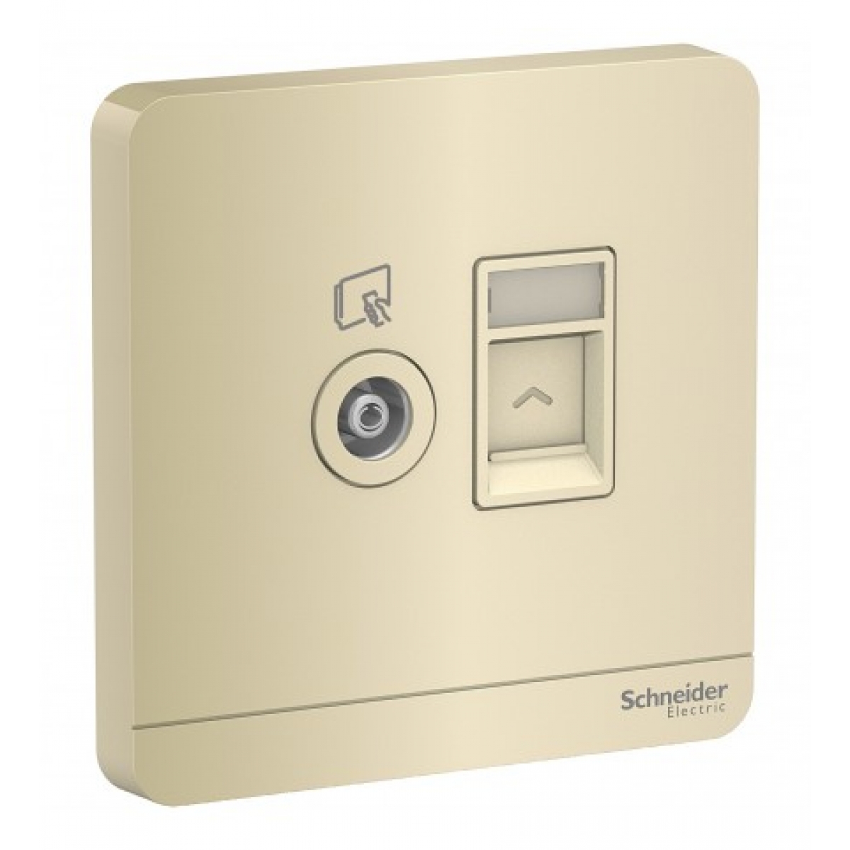 Schneider Electric AvatarOn 單位電視及RJ45數據插座面板 (沉醉金)