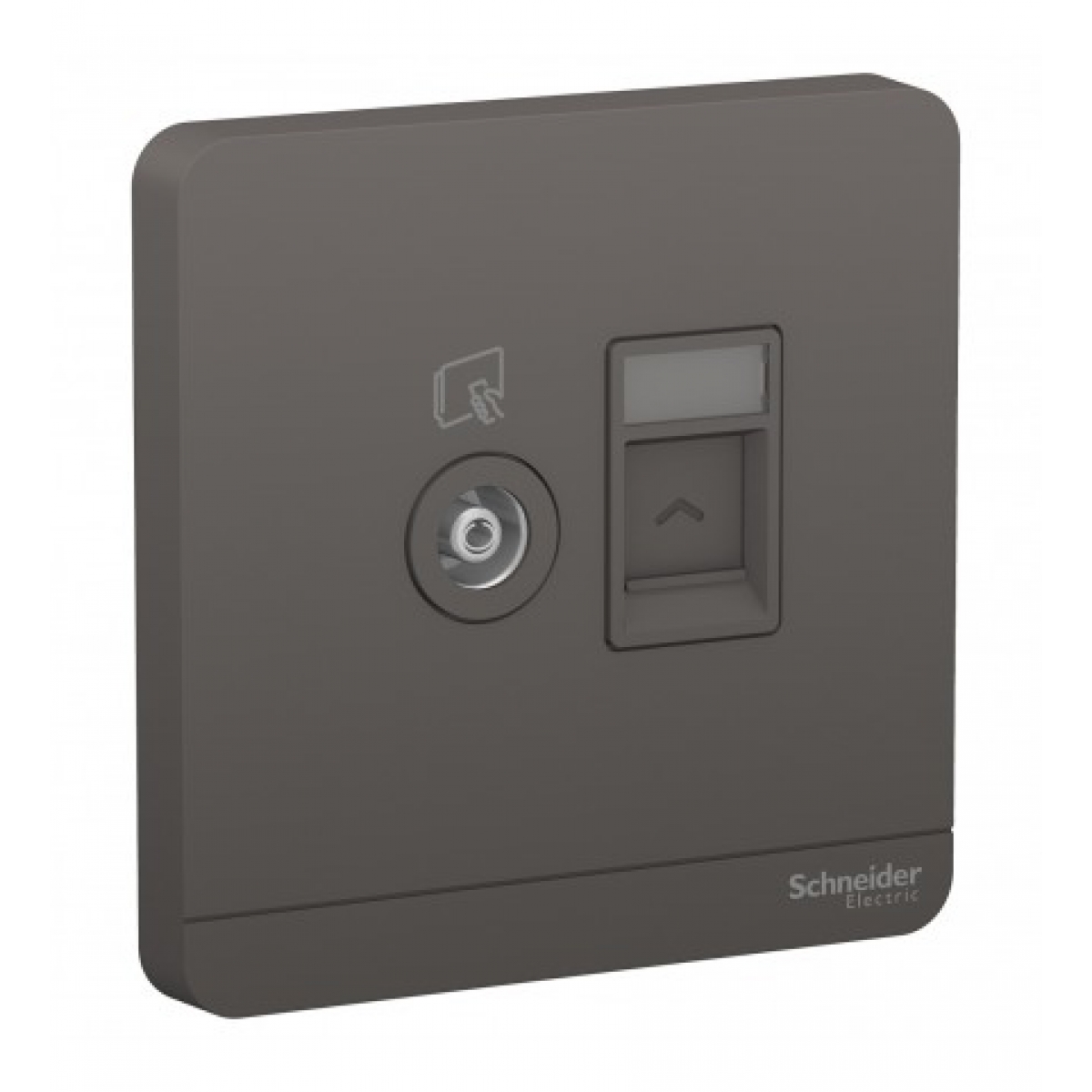 Schneider Electric AvatarOn 單位電視及RJ45數據插座面板 (石墨灰)