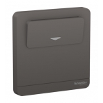 Schneider Electric 施耐德電氣 AvatarOn 16A 250V 電子插卡開關掣 (石墨灰) (E8331EKT_DG_C5)