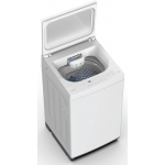 TOSHIBA 東芝 AW-M731APH 6.3公斤日式洗衣機 (適用高低水位)