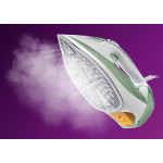 Philips 飛利浦 DST7012/70 7000系列 Azur 2600W 蒸氣熨斗 (草綠色/灰色)