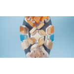 Philips 飛利浦 HX9093/96 A3 Premium All-in-One 聲波牙刷刷頭 (3支裝) - 黑色