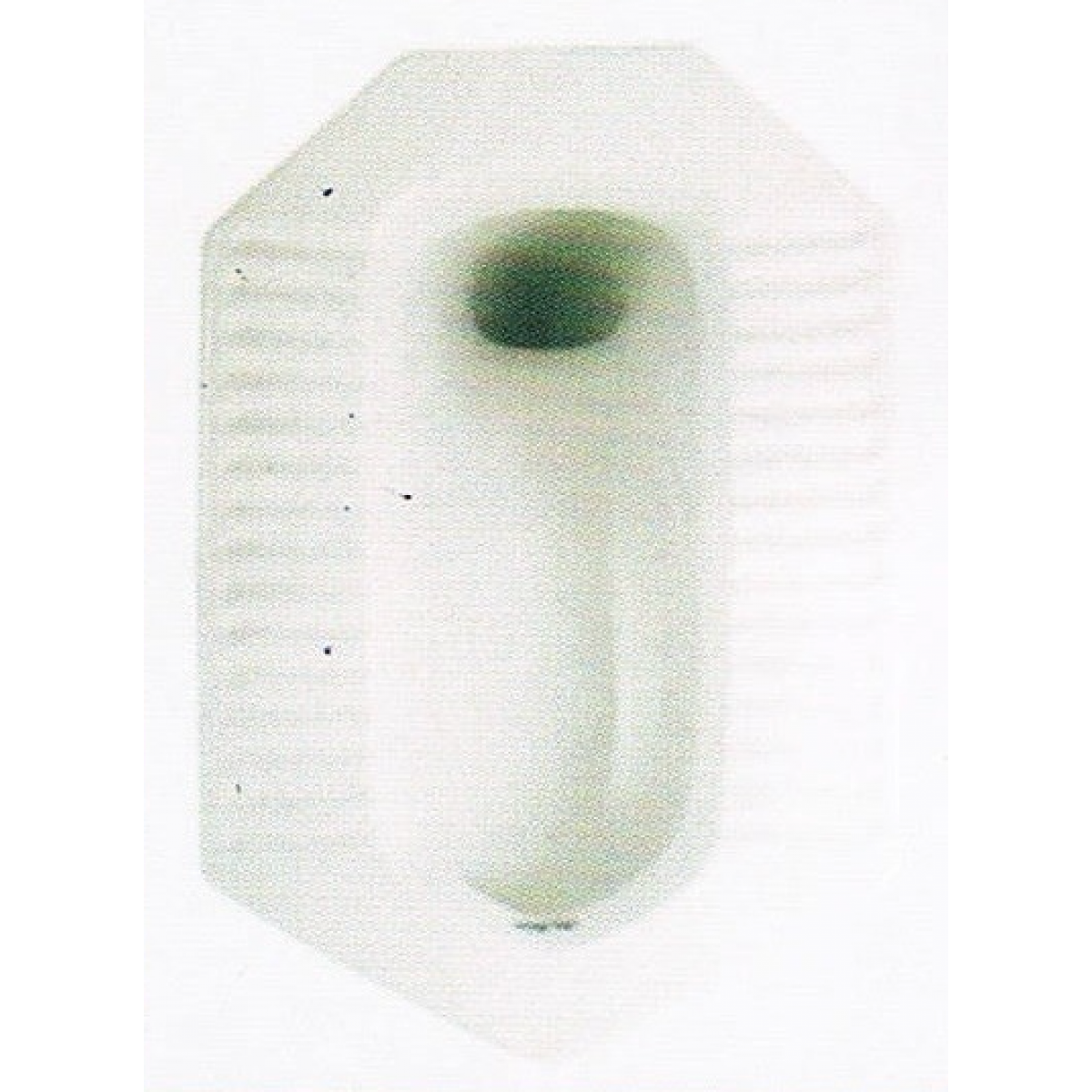 Huida H0810 蹲廁 (帶存水彎) - 610x430x265mm、白色