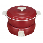 Recolte RPF-2-R Tanto Japanese style small electric cooker