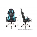 AKRacing CHRAK-VALDEN Valden 電競電腦椅