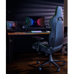 Razer RZ38-03720100-R3U1 Enki 電競椅 (黑/綠色)