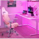 Razer RZ38-03720200-R3U1 Enki 電競椅 (粉紅色)