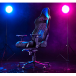 Razer RZ38-03720300-R3U1 Enki 電競椅 (黑色)