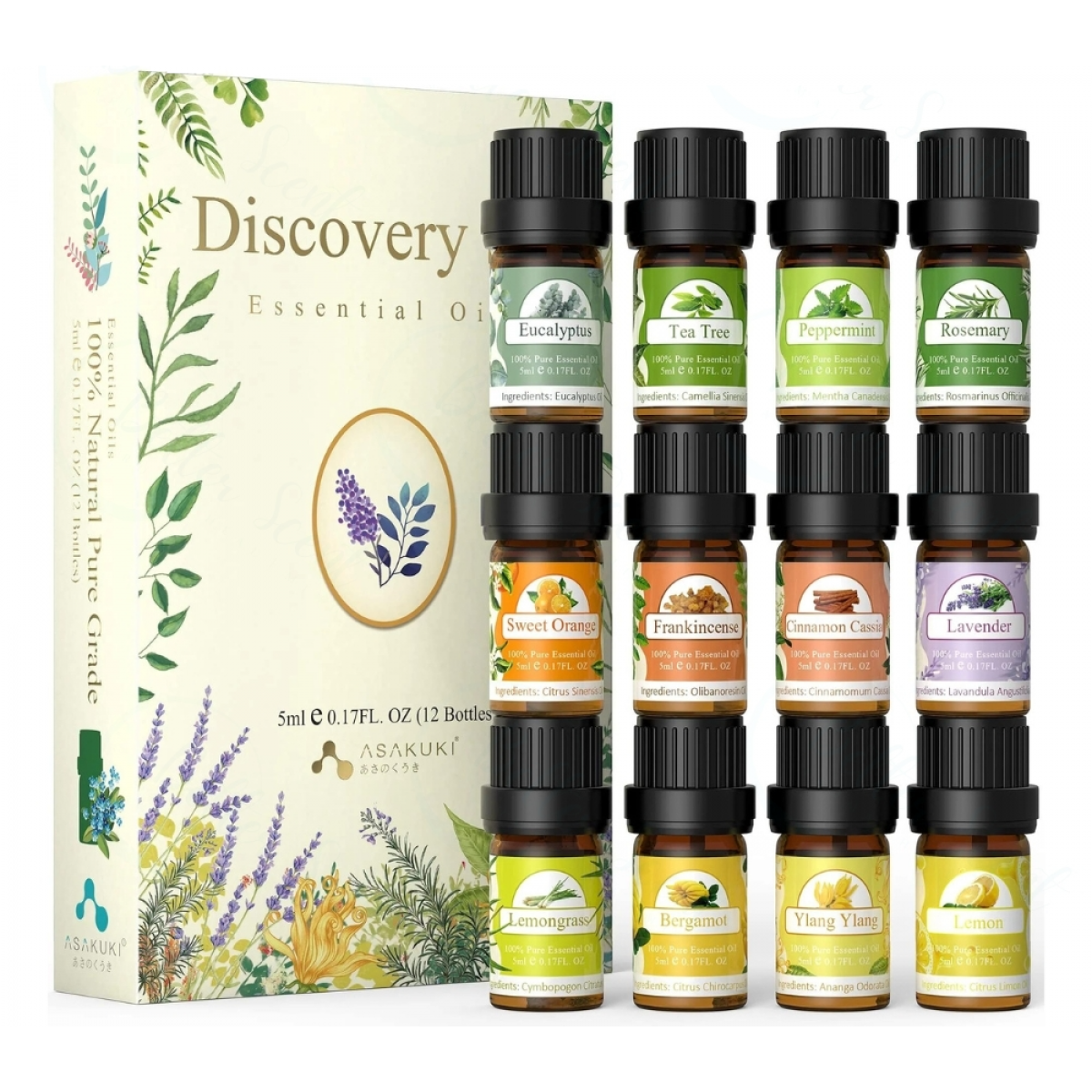 Asakuki TOP 12 植物香薰精油套裝 (5ml x 12) | 芬芳清爽