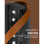 Edifier PK305 流動擴音機: 5.25吋低音+2吋高音、6000mAh電池、多功能模式