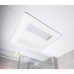 DRYMASTER DM230R-1 天花式抽濕暖風乾衣機 - 負離子 空氣淨化