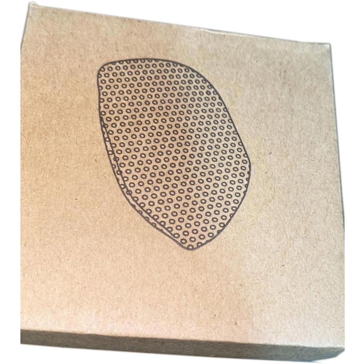 Scott 10401AC3 蒸氣掛熨機配件