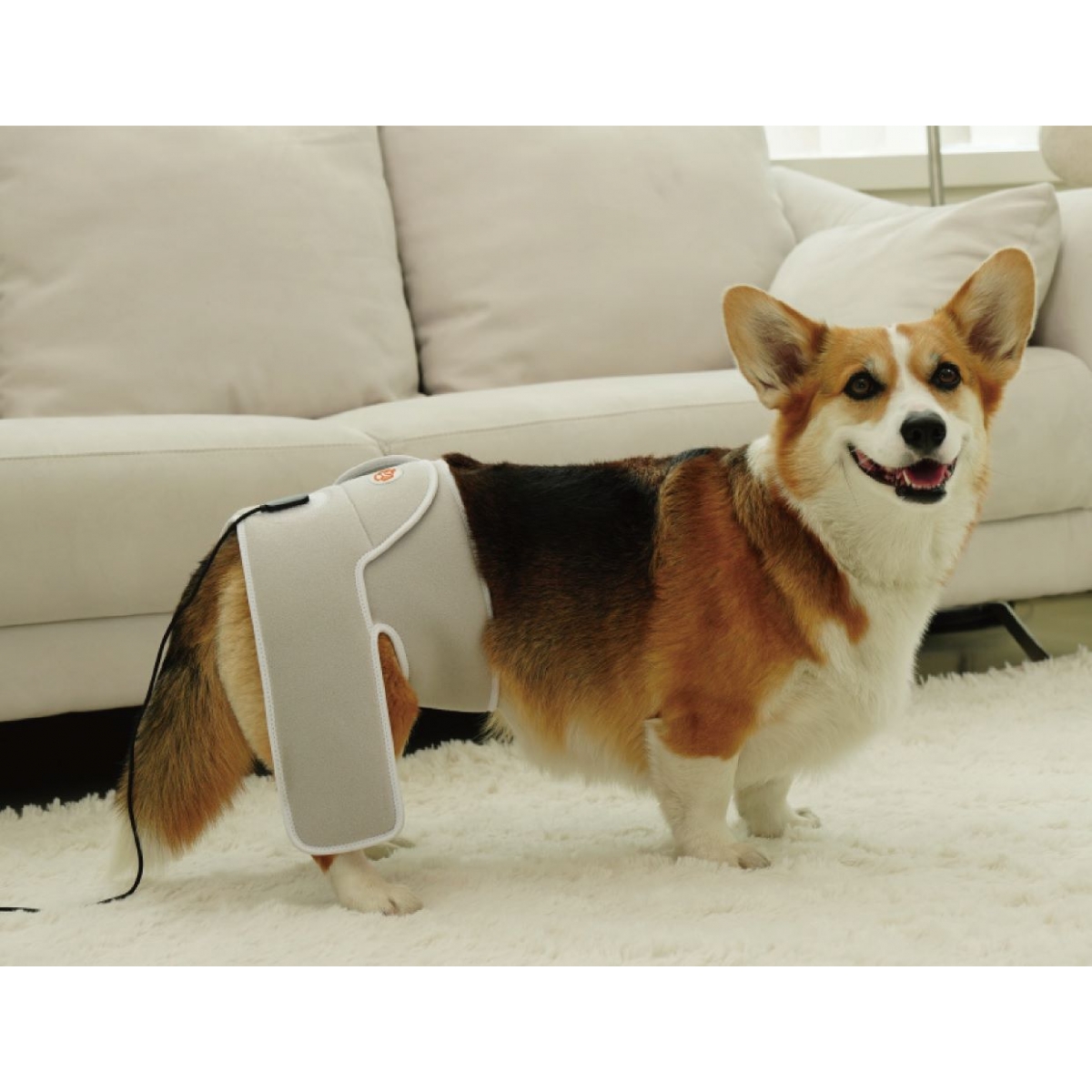 Cirius Pet RL-CP01 無線近紅外線髖關節保養儀 PRO (15kg以下適用)