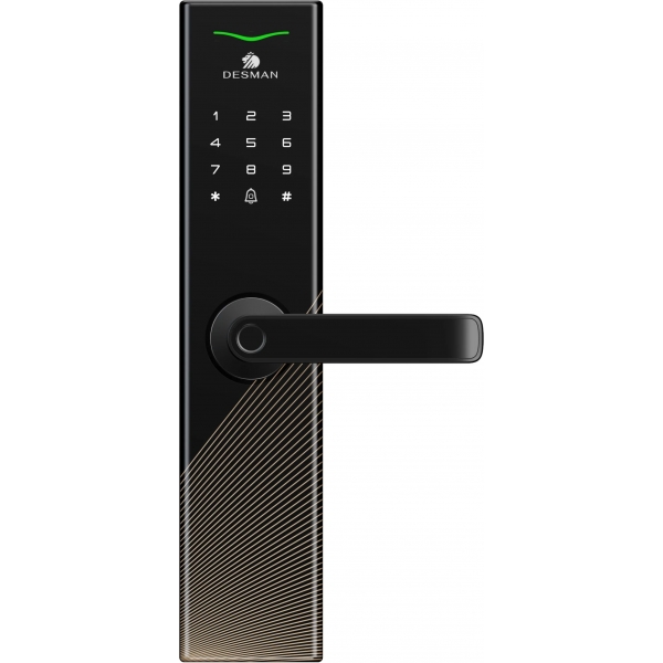 Desman 德施曼 E10Plus 電子門鎖