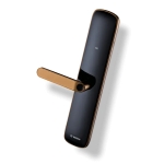 Bosch ID60 智精系列 智能電子門鎖 (琥珀金): 指紋/密碼/卡片多種解鎖、人體工學把手、全自動鎖體