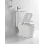 Richford RW103 二合一體座廁連洗手盆