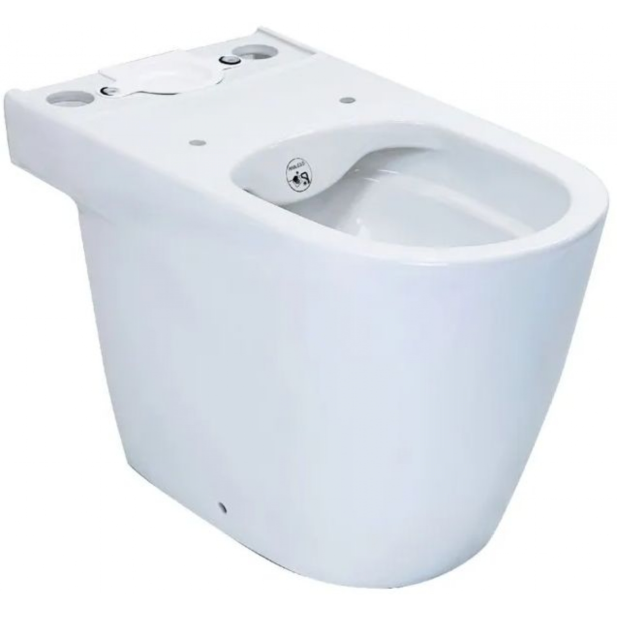 Roca A342687000 ONA 座廁淨廁身