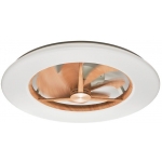 Doshisha DCEA-G14CL-LW Circulight Giant 日本天花風扇燈 (木色)