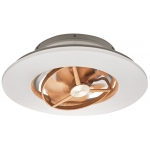 Doshisha DCEA-SWA12CL-LW Circulight Swing Advance 日本天花風扇燈 (木色)