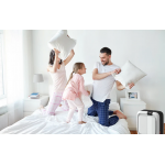 Boneco BON-H700 二合一加濕機及空氣清新機