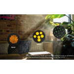 Boneco BON-P130 空氣淨化器 (三重淨化/UV-C燈/離子淨化器)