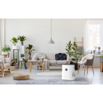 Boneco BON-H320 二合一加濕/空氣清新機 (易清潔/App智能控制)