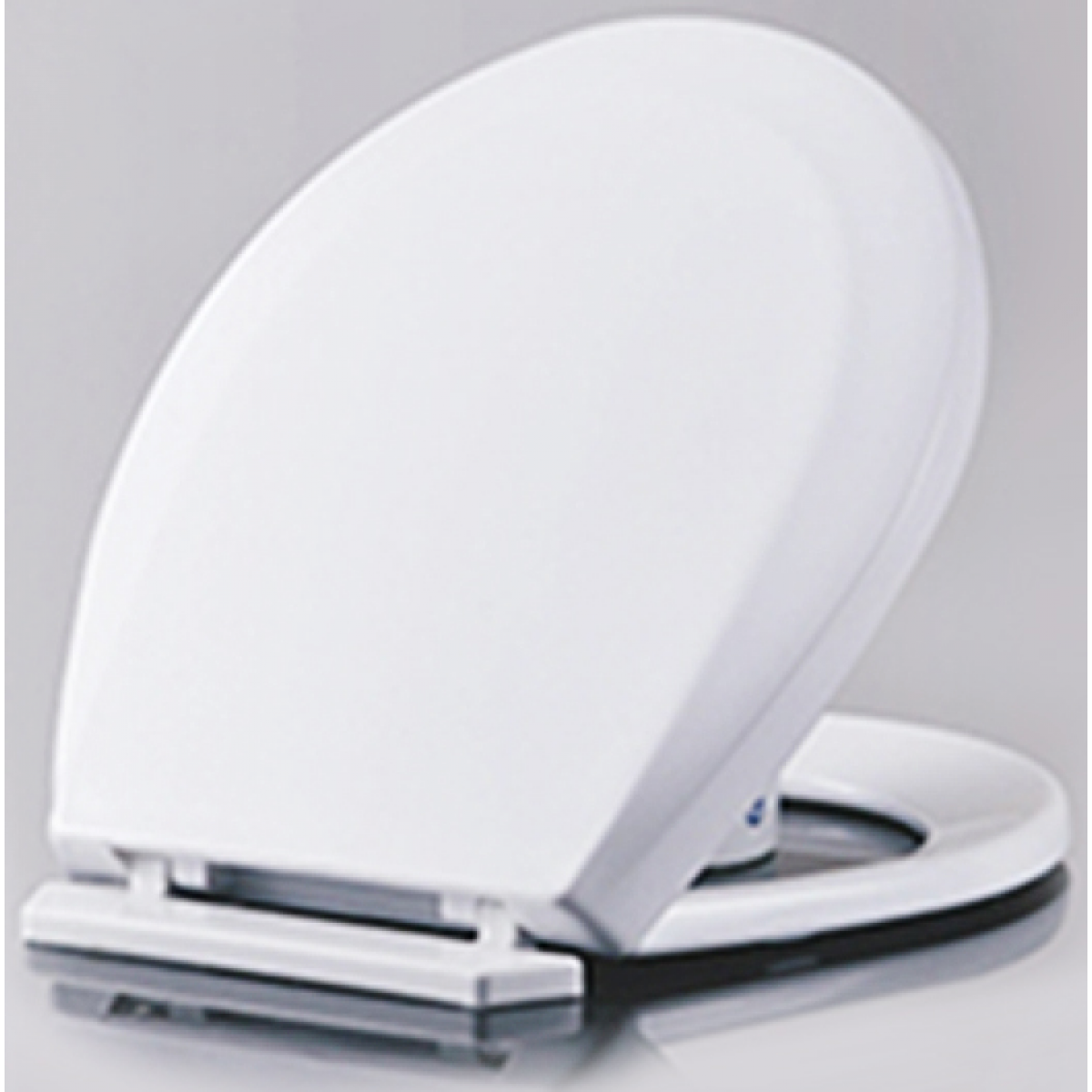 Walrus 082 膠製小童座廁廁板