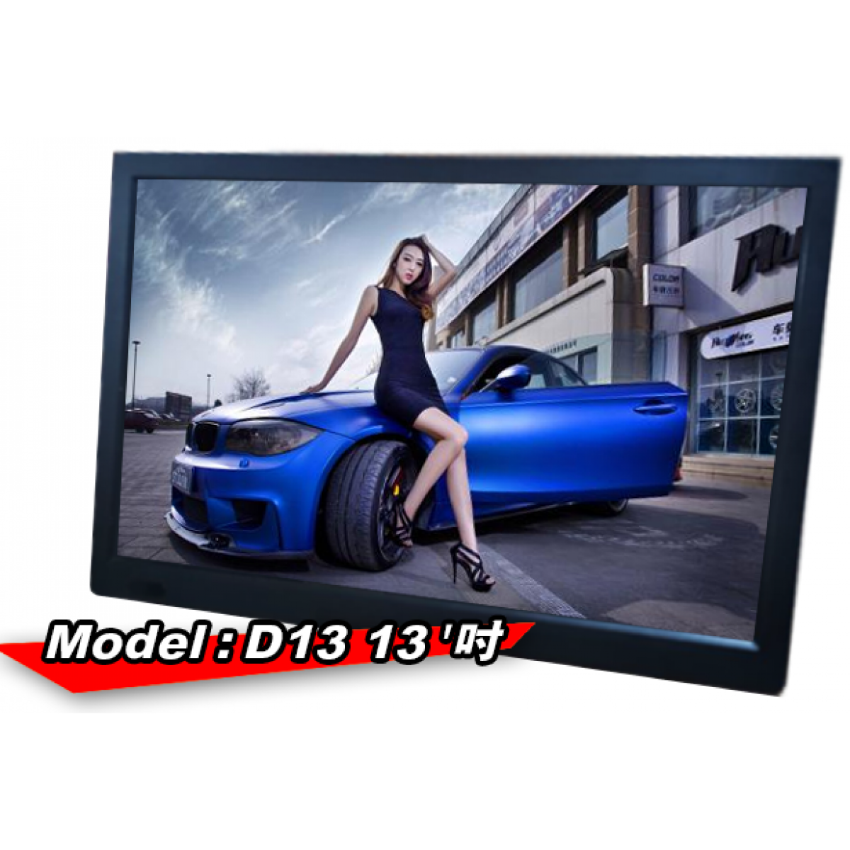 SmartVue D-13/D-14 13.3吋多功能高清掌上電視 | 安防專用 | 多種輸入