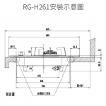 Rasonic 樂信 RG-H261-TG 雙頭嵌入式煤氣煮食爐 (1級能源標籤/4.5kW特強火力)