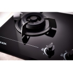 Taada 多田牌 GA761-24B TG 74厘米雙頭煤氣爐 (內置式)