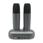 Edifier TU52 無線麥克風 (雙麥克風/KTV混響/七種音效)