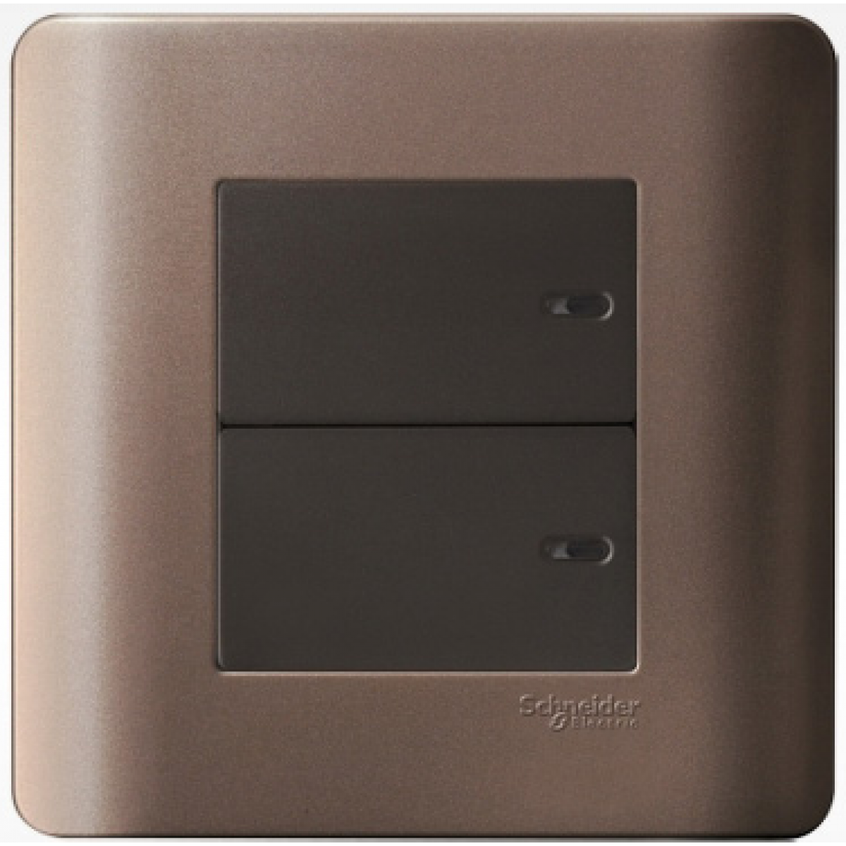 Schneider Electric ZENcelo 16AX 兩位雙控平觸開關掣 (銀銅)