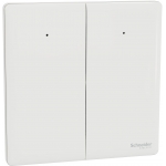 Schneider Electric 施耐德電氣 NUX32_1N_PW Unica X 16AX 兩位單控開關掣連LED指示燈 (皎月白)