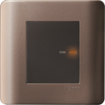 Schneider Electric 施耐德電氣 E8431D20 SZ ZENcelo 20A 單位平觸雙極開關掣連指示燈 (銀銅)