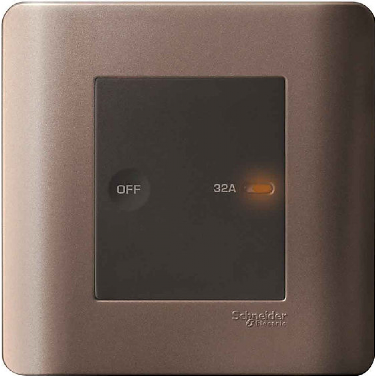 Schneider Electric ZENcelo E8431D32 SZ 32A 單位平觸雙極開關掣 (銀銅)