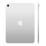 Apple 11吋 iPad Wi-Fi 256GB (銀色)