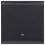 Schneider Electric 施耐德電氣 E8231L2F_MB Pieno 16AX 單位雙控開關掣連螢光指示 (寫意黑)