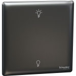 Schneider Electric 施耐德電氣 NUX31RUD250_DG Unica X 250W 單位雙控光暗掣 (石墨灰)