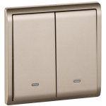 Schneider Electric 施耐德電氣 E8232L2F_WG_C5 Pieno 16AX 兩位雙控開關掣連螢光指示 (沉醉金)