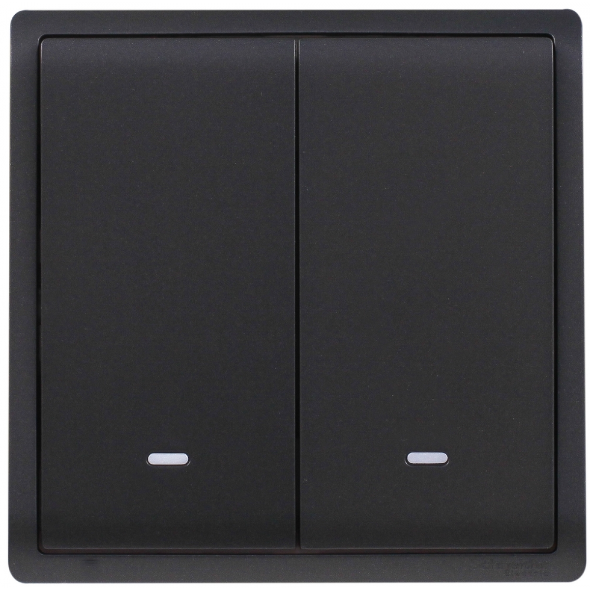 Schneider Electric Pieno E8232L2F_MB_C5 16AX 兩位雙控開關掣 (寫意黑)