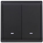 Schneider Electric 施耐德電氣 E8232L2F_MB_C5 Pieno 16AX 兩位雙控開關掣連螢光指示 (寫意黑)