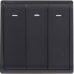 Schneider Electric 施耐德電氣 E8233L2F_MB_C5 Pieno 16AX 三位雙控開關掣連螢光指示 (寫意黑)