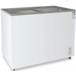 Luen Pun 聯品 WD4-275K 275公升 卧式趟玻璃門冷凍展示櫃