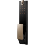 Zigbang ZIG-ZDP73FNLGEN ZD-P73 物聯網電子門鎖 (金色)