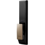 Zigbang ZIG-ZDP73FNLGEN ZD-P73 物聯網電子門鎖 (金色)