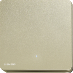 Siemens 西門子 5TA81163PC04-CG DELTA®arina 16AX 單位單控LED燈開關 (香檳金)