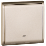 Schneider Electric 施耐德電氣 E8231MF_WG Pieno 16AX 20A 單位十字開關掣 連螢光指示 (沉醉金)