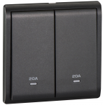 Schneider Electric 施耐德電氣 E8232D20N_MB_C5 Pieno 20A 兩位雙極開關掣連指示燈 (寫意黑)