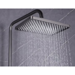 Richford RF8828 銅琴按鍵雨淋花灑套裝