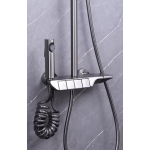 Richford RF8828 銅琴按鍵雨淋花灑套裝